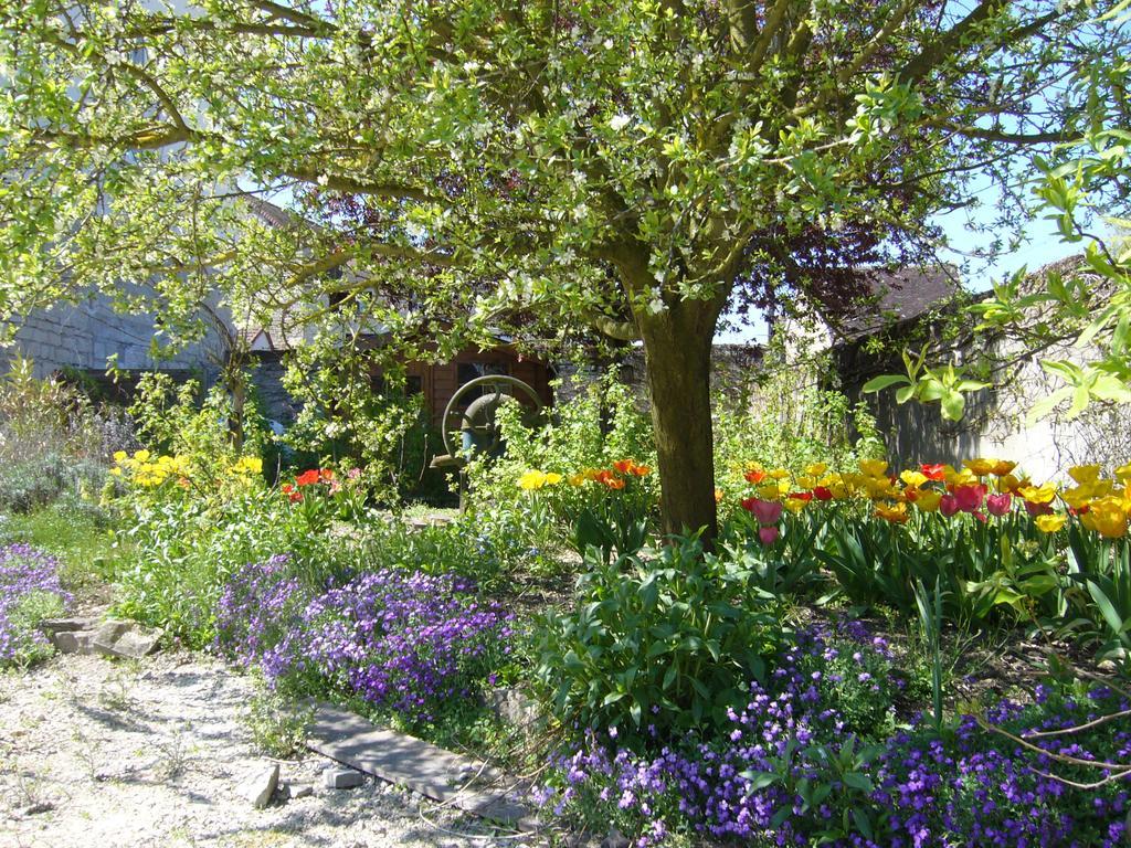 L'Instant Present Bed & Breakfast Pacy-sur-Armancon Luaran gambar